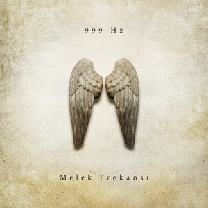 Yatıştırıcı Uyku