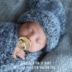 Geluid van een Landweg ('s Nachts) (Loopbaar, Geen Vervaging)