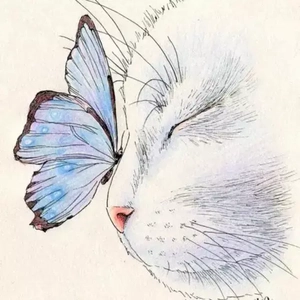 温妮莎