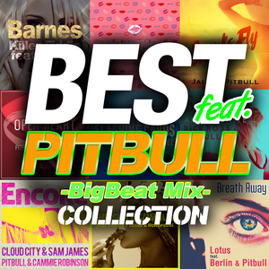 Sober (BigBeat Mix) [feat. Rick Ross & Pitbull]