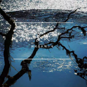 夏风-整曲