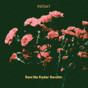 Seni Ne Kadar Sevdim