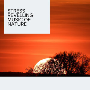 Green Valley at Lake Side