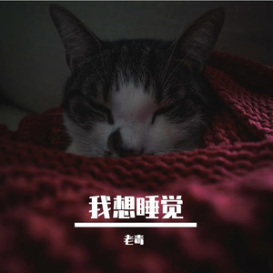 失眠案例（Prod.DIVINE MUSIC）