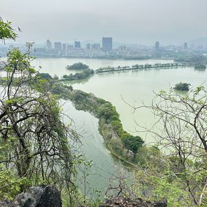 高兴哥，闪耀出道