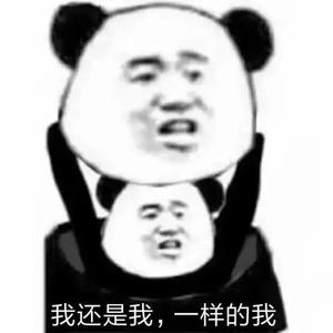 琴师