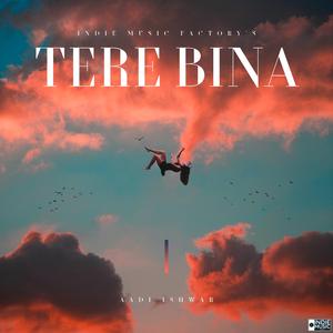 Tere Bina