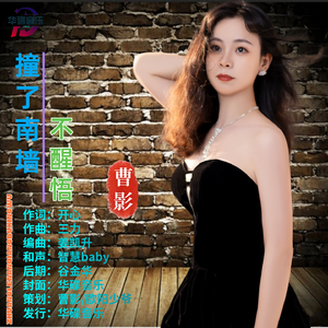 撞了南墙不醒悟