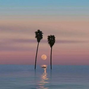 Never End- (Prod. Lisure)