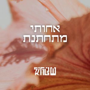 אחותי מתחתנת