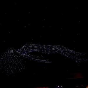 バカみたいに君を