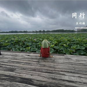 同行