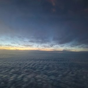 当你飞过荒原(demo)