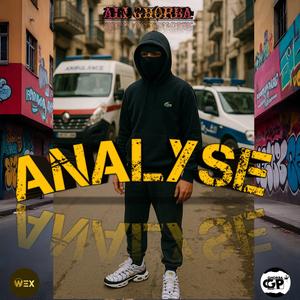 ANALYSE