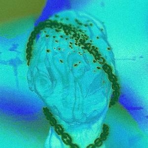 Am I Making You Feel Sick? (Säfira's Version)