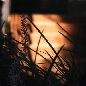 明明你先说爱我 陈曼曼