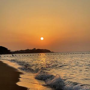 在海边向风诉说向你告白