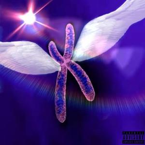 tmp_1610818216062_013024_track0