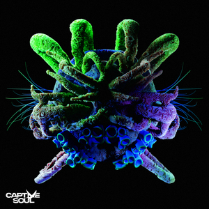 Another Life (Extended Mix)