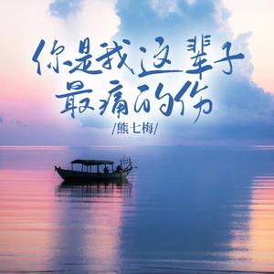 你是我这辈子最痛的伤