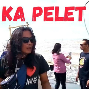 KA PELET