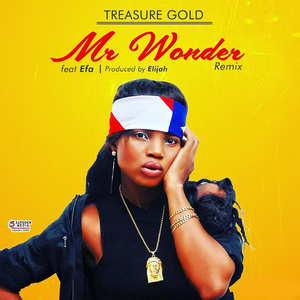 Mr Wonder (Remix)