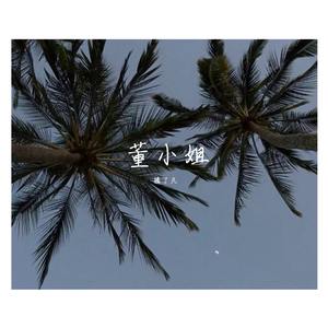 董小姐（翻自 陈小龙）