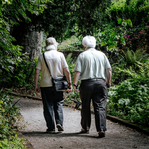 따뜻한 차 한잔