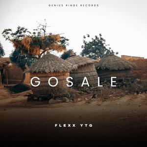 GOSALE (feat. Flexx YTG)