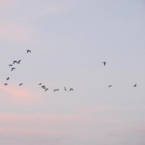 Designing Women (III)