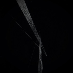 Dichotomic Observeables