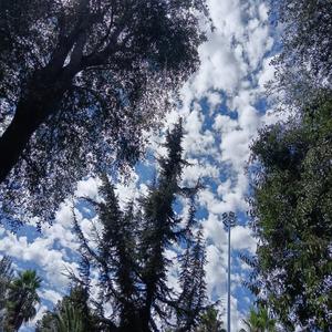 Track 9 (Versión Demo)