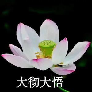 小丑的品格