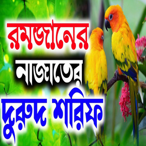 রমজানের নাজাতের দুরুদ শরিফ। রমজান মাসের বাছাই করা সুমধুর কন্ঠে সেরা দুরুদ শরিফ