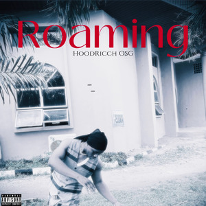 Roaming