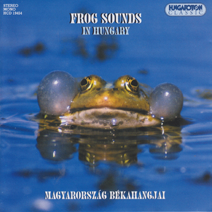 Voroshasu unka (Fire-bellied Toad)