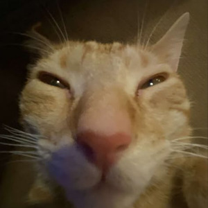 II HANDS II HEAVEN (nightcore)