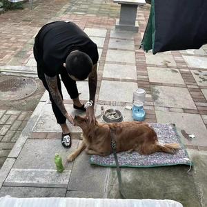 爱情是一场梦—飚Boss