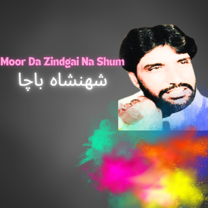 Moor Da Zindgai Na Shum