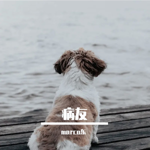 《听诊器》
