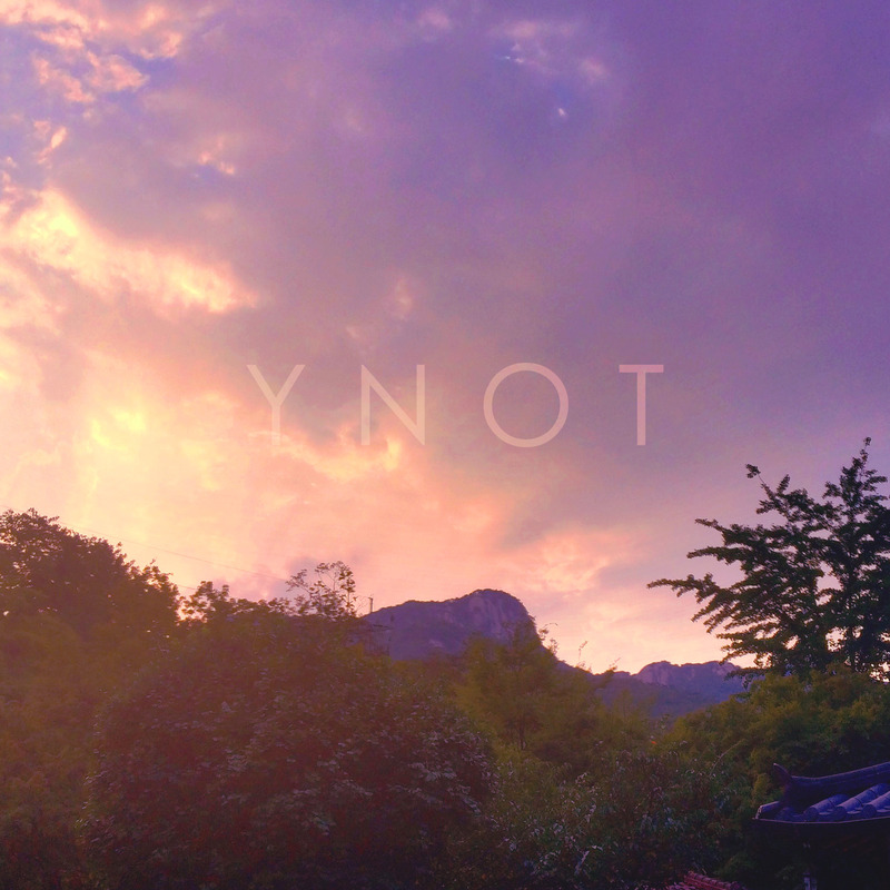 Ynot封面