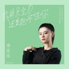 我用尽全力还是抱不住你