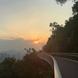 我向你奔赴而来