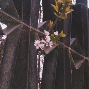 沉淀夜（Prod by NeonMusic）