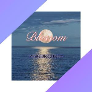 【FREE】Blossom