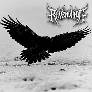 Ravenwing