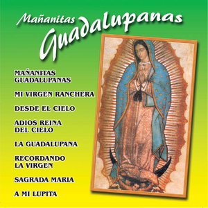 Apariciones Guadalupanas