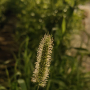 How Was I Supposed to Know