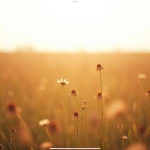 바이럴 (Viral, sweetpop v)