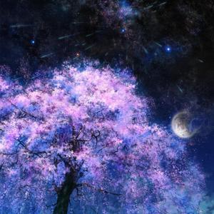 晴夜·星之奏鸣